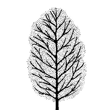 Nyssa sinensis (PLUG grown)